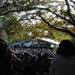 Moseley Folk Festival crowd