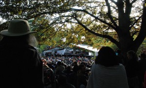 Moseley Folk Festival crowd